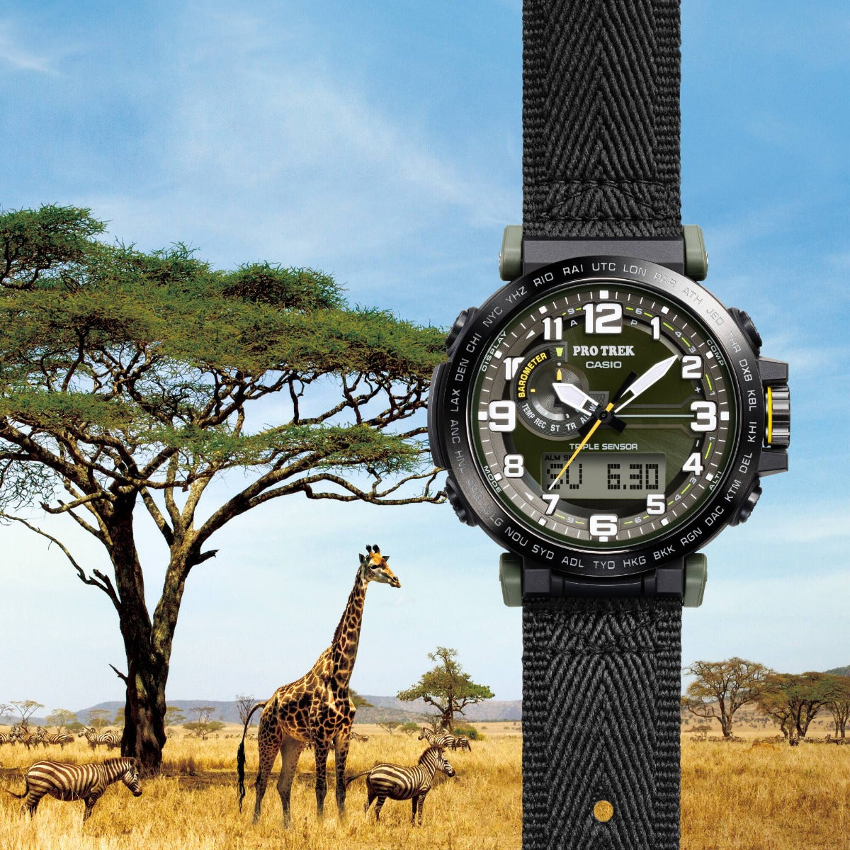 PRO TREK Watch PRG-601YB-3DR