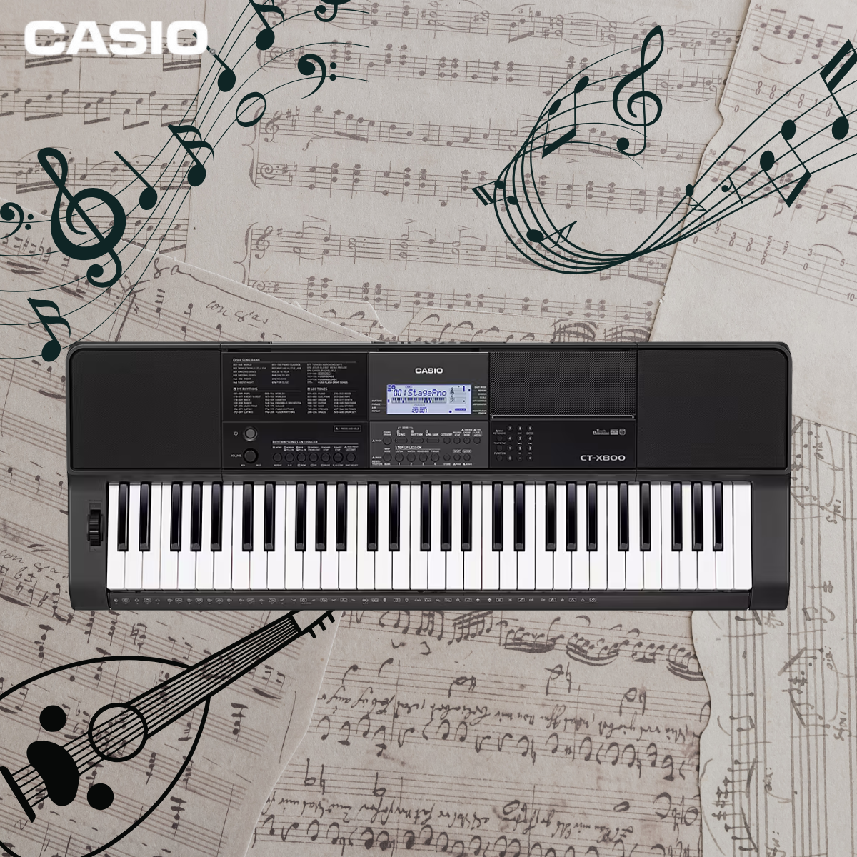 Casio Musical Keyboard CT-X800C2