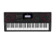 CASIO High-Grade Keyboard CT-X3000C2