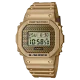 G-SHOCK Gold Chain Casual Men Watch DWE-5600HG-1DR