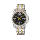 CASIO Analog Women Formal Watch LTP-1314SG-1AVDF